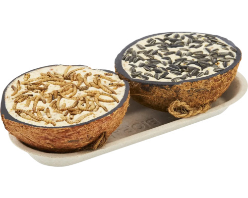 Nourriture pour oiseaux sauvages demi noix de coco 400g Nourriture pour oiseaux sauvages demi noix de coco 400g