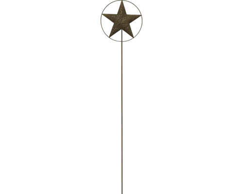 Tuteur de jardin en métal Lafiora étoile h 115 cm