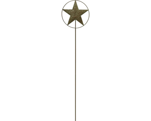 Tuteur de jardin en métal Lafiora étoile h 90 cm