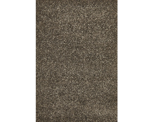 Teppichboden Shaggy Proteus Econyl® schlamm FB49 500 cm breit (Meterware) Teppichboden Shaggy Proteus Econyl® schlamm FB49 500 cm breit (Meterware)