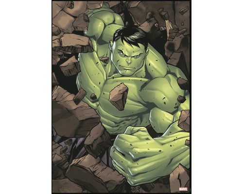 Tableau sur toile Hulk 50x70 cm