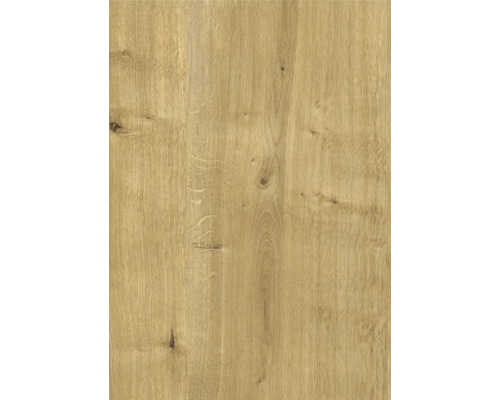 Texture de bois pour projets de construction et de rénovation