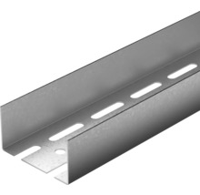 Rail profilé avec évidements
