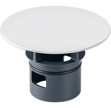 Bonde de lavabo avec filtre pour lavabo