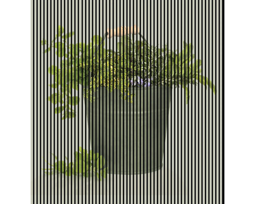 Akustikpaneel digital bedruckt Gewürze 2 2400 x 2253 x 19 mm Set = 4 Einzelpaneele Akustikpaneel digital bedruckt Gewürze 2 2400 x 2253 x 19 mm Set = 4 Einzelpaneele