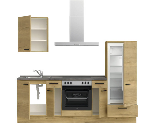 Küchenzeile mit Spüle, Kochfeld, Backofen, Dunstabzugshaube, Kühlschrank und Hängeschrank