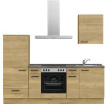 Cuisine équipée avec évier, cuisinière, four, hotte aspirante et armoire murale