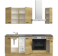 Cuisine équipée avec évier, réfrigérateur, four, plaque de cuisson et hotte aspirante