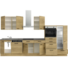 Komplette Küche mit Spüle, Geschirrspüler, Herd, Backofen, Kühlschrank und Dunstabzugshaube