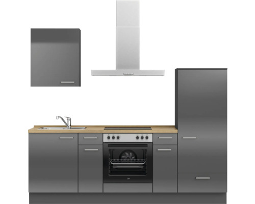 Küchenzeile mit Spüle, Kochfeld, Backofen, Dunstabzugshaube und Kühlschrank