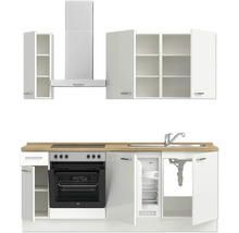 Cuisine équipée avec évier, cuisinière, four, réfrigérateur, hotte et armoires suspendues
