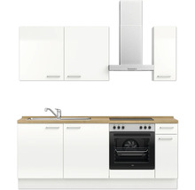 Cuisine complète avec évier, plaque de cuisson, four, hotte et armoires