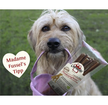 Chien avec paquet de spaghettis pour chiens Carnello dans la gueule