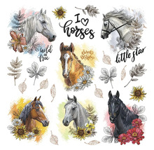 Illustration avec des têtes de chevaux, des fleurs et des feuilles