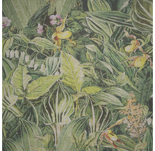 Papier peint avec motif jungle et plantes tropicales