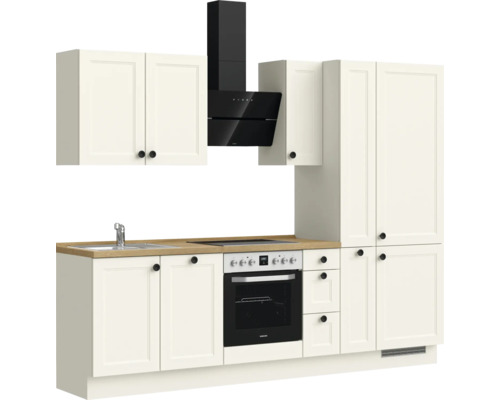 Küchenzeile mit Spüle, Kochfeld, Backofen und Dunstabzugshaube