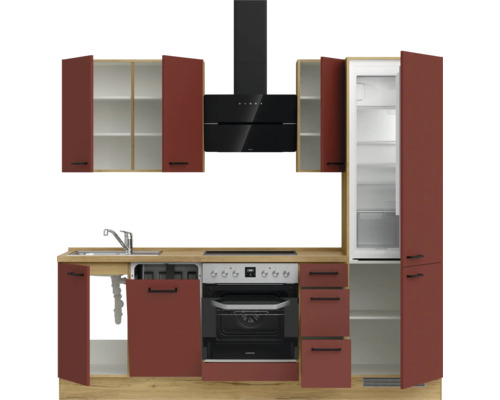 Komplette Küche mit Spüle, Backofen, Kühlschrank und Dunstabzugshaube