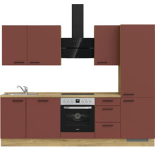 Cuisine équipée avec évier, plaque de cuisson, four, hotte aspirante et placards