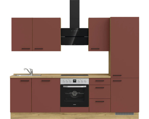 Cuisine équipée avec évier, plaque de cuisson, four, hotte aspirante et placards