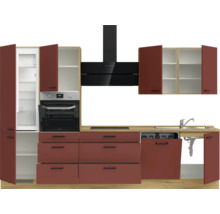 Cuisine équipée avec réfrigérateur, four, hotte aspirante, évier et lave-vaisselle au design moderne