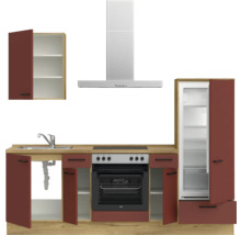 Cuisine équipée avec évier, plaque de cuisson, four, hotte aspirante et réfrigérateur