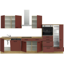 Cuisine complète avec évier, plaque de cuisson, hotte, four et réfrigérateur