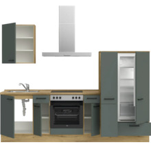 Cuisine équipée avec évier, plaque de cuisson, four, réfrigérateur, hotte et élément haut