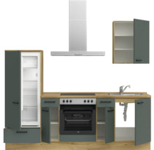 Cuisine équipée avec réfrigérateur, four, évier, hotte et armoire suspendue