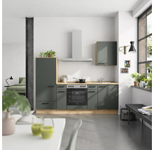 Cuisine moderne avec armoires de cuisine, hotte aspirante, cuisinière et évier dans une pièce lumineuse.