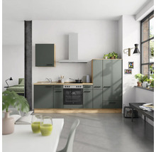 Cuisine d''habitation moderne avec kitchenette, évier, plaque de cuisson, four et hotte aspirante dans une pièce lumineuse.