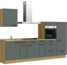 Komplette Küchenzeile mit Spüle, Kochfeld, Backofen, Dunstabzugshaube und Hängeschränken in modernem Design