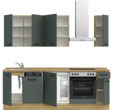 Cuisine complète avec évier, réfrigérateur, four, plaque de cuisson et hotte aspirante