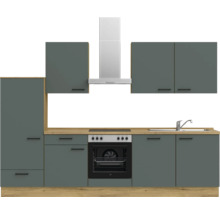 Cuisine moderne avec armoires de cuisine, évier, plaque de cuisson et hotte aspirante.