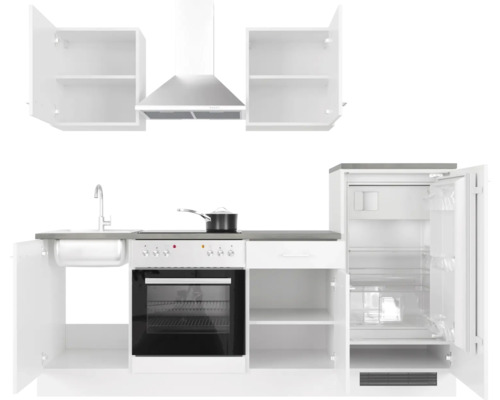 Küchenzeile mit Spüle, Herd, Dunstabzugshaube und Kühlschrank