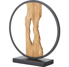 Dekorative Tischleuchte mit Holzelement in Kreisform