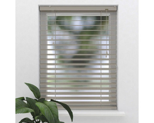 Fenêtre avec stores horizontaux pour la régulation de la lumière