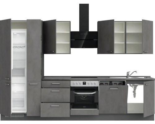 Cuisine complète avec réfrigérateur, plaque de cuisson, four, hotte aspirante, évier et lave-vaisselle dans un look moderne