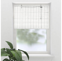 Fenêtre avec store enrouleur