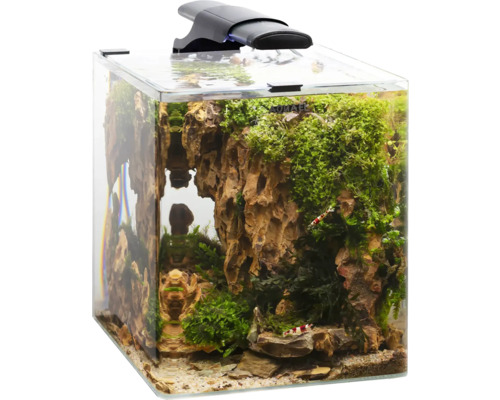 Aquarium Aquael aménagé avec éclairage, pierres, plantes et crevettes