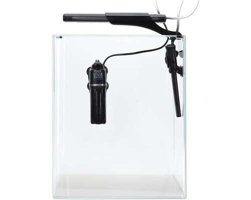 Aquarium avec éclairage et filtre