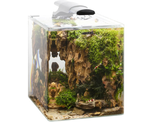 Aquarium mit Dekoration, Pflanzen und Garnelen