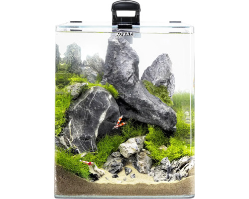 Aquarium mit Steinen, Pflanzen und Garnelen