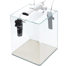 Aquarium en verre transparent avec filtre et éclairage
