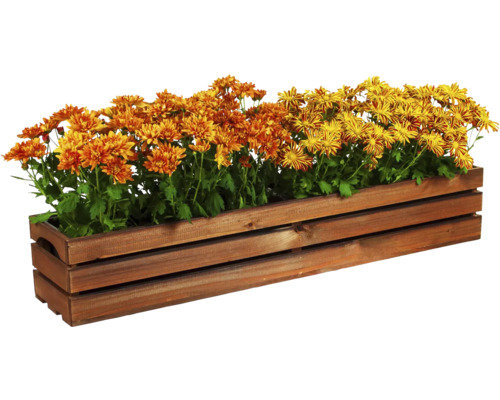 Bac à plantes en bois 100 x 19 x 17 cm