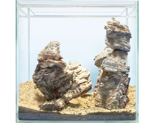 Aquarium décoratif avec pierres et gravier