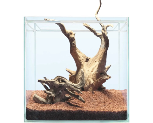 Dekoratives Aquarium mit Wurzelholz und Bodengrund