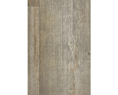 PVC-Boden Terni Holzdielenoptik gekalkt FB591 Dielen 20x120 cm 300 cm breit (Meterware) PVC-Boden Terni Holzdielenoptik gekalkt FB591 Dielen 20x120 cm 300 cm breit (Meterware)