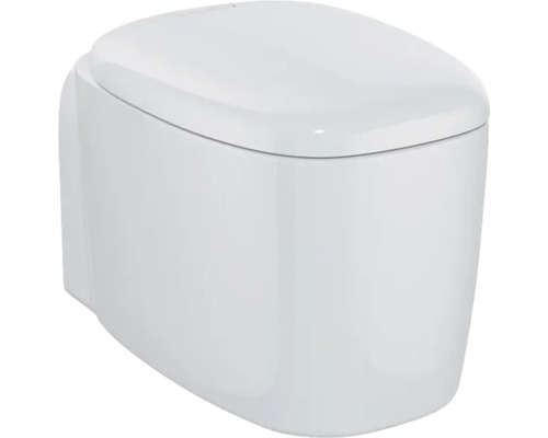 WC suspendu VitrA Plural cuvette à fond creux sans bride à économie d'eau blanc brillant avec revêtement effet nano (repoussant les salissures) hygieneglaze sans abattant 7830B403-0075