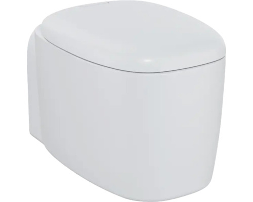 WC suspendu VitrA Plural cuvette à fond creux sans bride à économie d'eau blanc mat avec revêtement effet nano (repoussant les salissures) hygieneglaze sans abattant 7830B401-0075