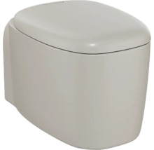 WC suspendu VitrA Plural Flush 2.0 cuvette à fond creux sans bride de rinçage taupe mat avec revêtement antibactérien VitrA Hygiene + VitrA Clean sans abattant WC 7830B420-0075